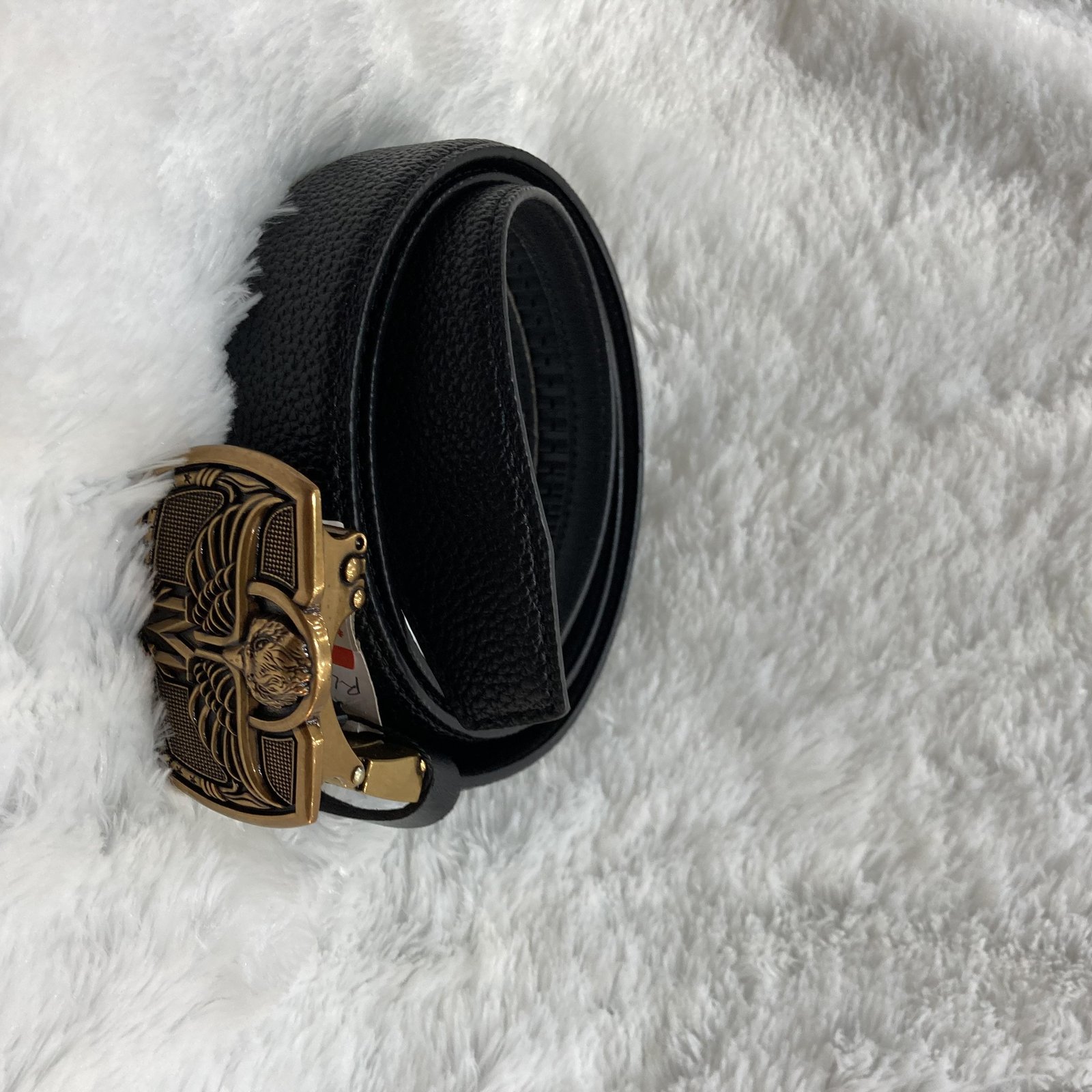 Belt 0004